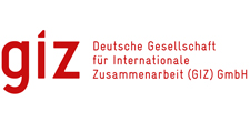 GIZ International